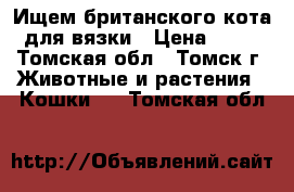 Ищем британского кота для вязки › Цена ­ 50 - Томская обл., Томск г. Животные и растения » Кошки   . Томская обл.